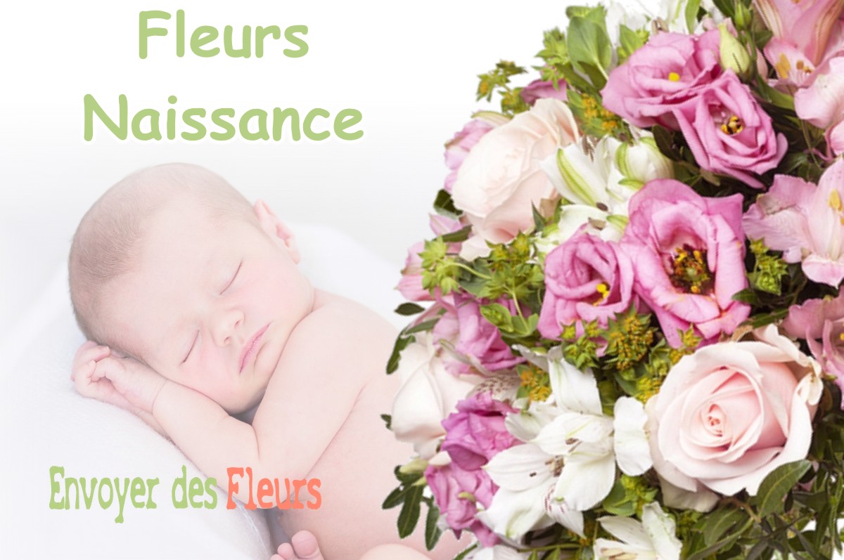 lIVRAISON FLEURS NAISSANCE à PRETZ-EN-ARGONNE